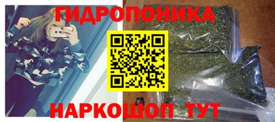 прущие крисы Тулун