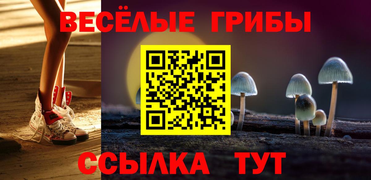 Каменка  Галлюциногенные грибы мухоморы  Вход с VPN 